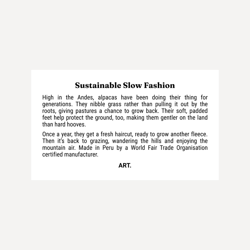 The No-Show Sock